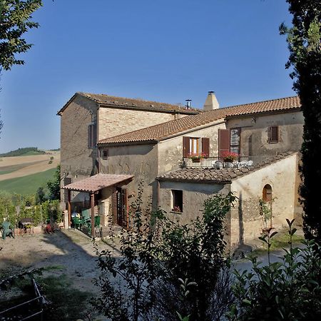 מונטלצ'ינו Agriturismo Podere Olivello In Val D'Orcia מראה חיצוני תמונה