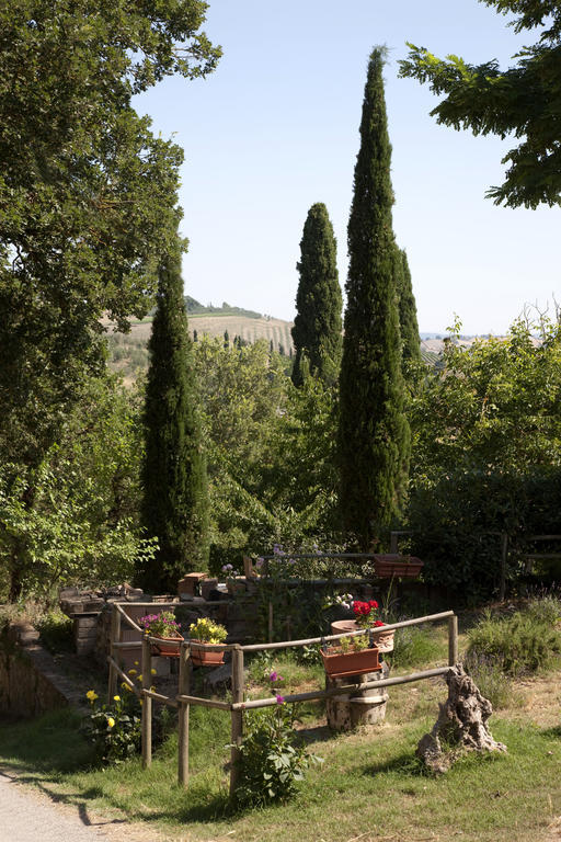מונטלצ'ינו Agriturismo Podere Olivello In Val D'Orcia מראה חיצוני תמונה