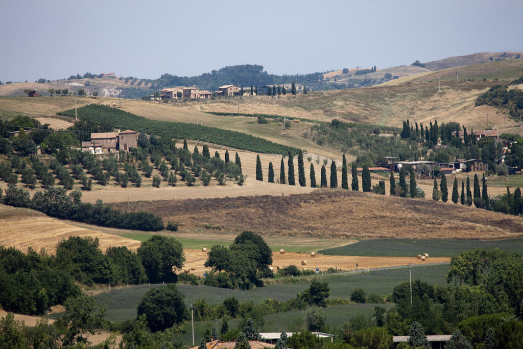 מונטלצ'ינו Agriturismo Podere Olivello In Val D'Orcia מראה חיצוני תמונה